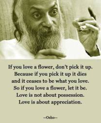 love- Osho